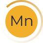 multisorb 2